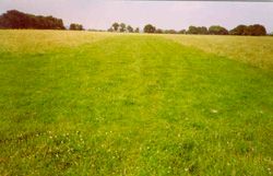 Edenbridge Flying Site