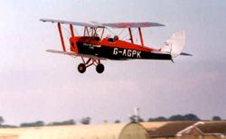 Tiger Moth